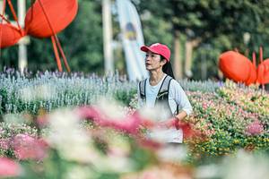 BIB: 
                            <button type="button" onclick="openModal(25933427)" class="btn btn-primary btn-sm float-right btn-popup" data-toggle="modal" data-target=".modal-high-quality">
                        <i class="fas fa-shopping-cart"></i> Add to Cart
                    </button>
                                            <button type="button" onclick="isThisMe(25933427, true)" class="btn btn-success btn-sm float-right btn-popup btn-isme hidden" data-toggle="tooltip" data-placement="bottom" title="นี่คือรูปของคุณใช่ไหม คลิกที่นี่เพื่อเอาเข้าอัลบั้ม">
                        <i class="fas fa-plus"></i> Add to album
                    </button>
                    <button type="button" onclick="isThisMe(25933427, false)" class="btn btn-warning btn-sm float-right btn-popup btn-isnotme hidden">
                        <i class="fas fa-ban"></i> Remove from album
                    </button>